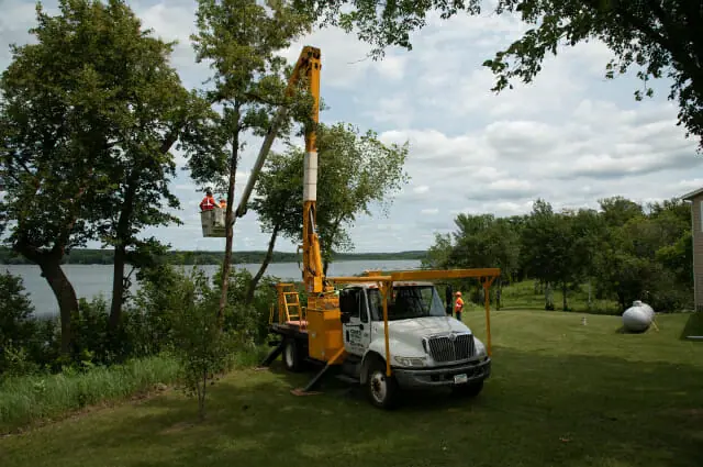 Tree Pruning Ipswich